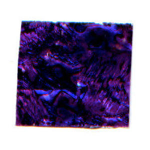 Sfoglia decoro madreperla 4x3,5 cm viola