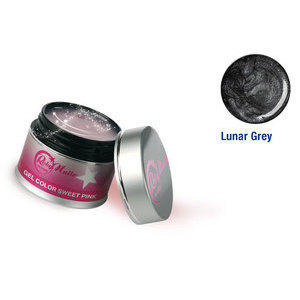Gel Color Metallic Lunar Grey 8 ml Roby Nails